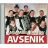 Ansambel bratov Avsenik - Zlati album 4CD